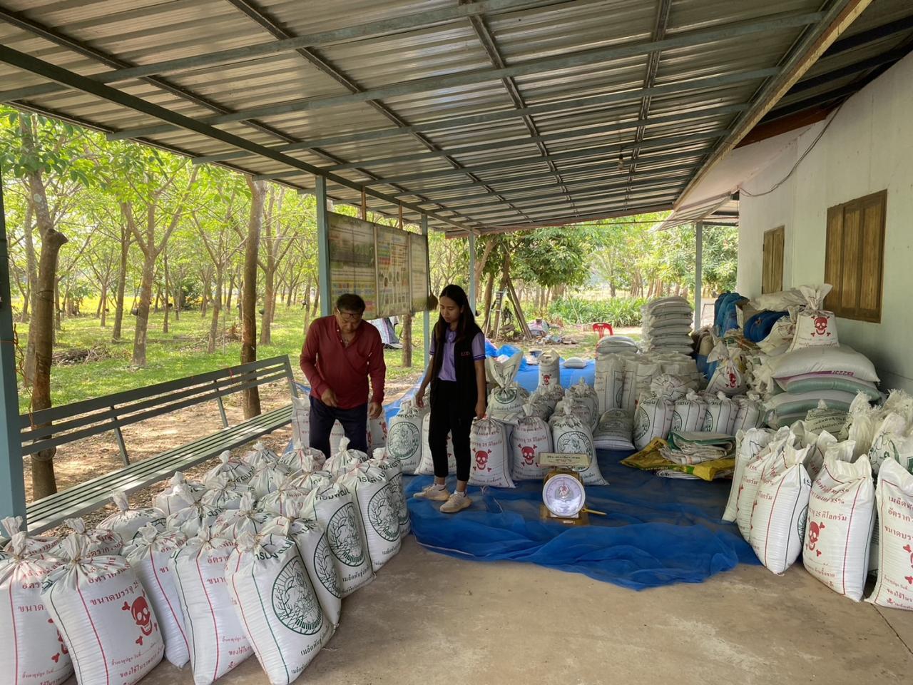 ภาพประกอบที่ 2