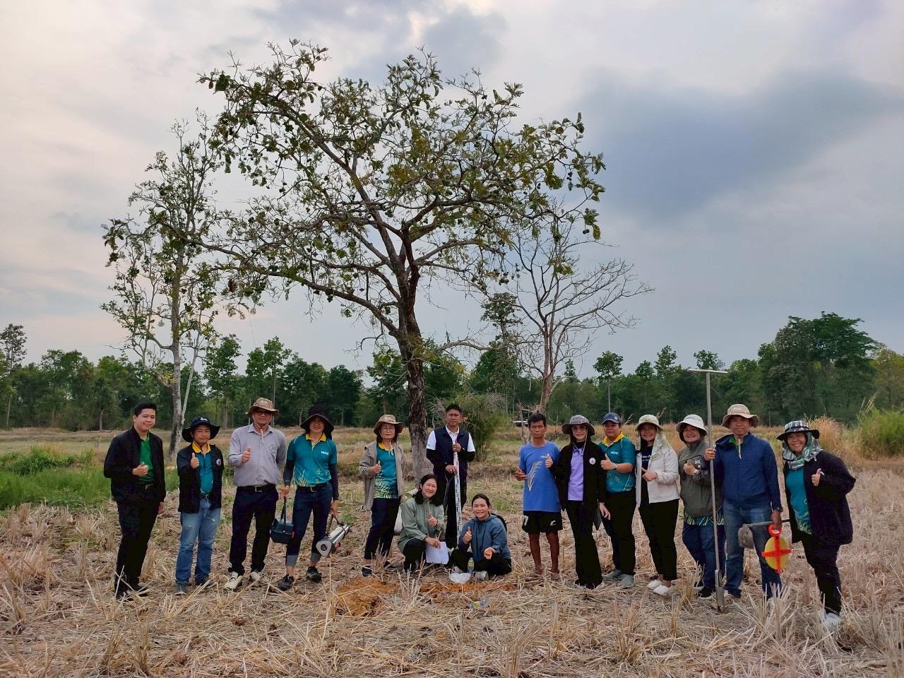 ภาพประกอบที่ 9