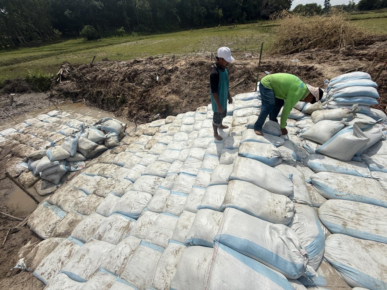 ภาพประกอบที่ 6