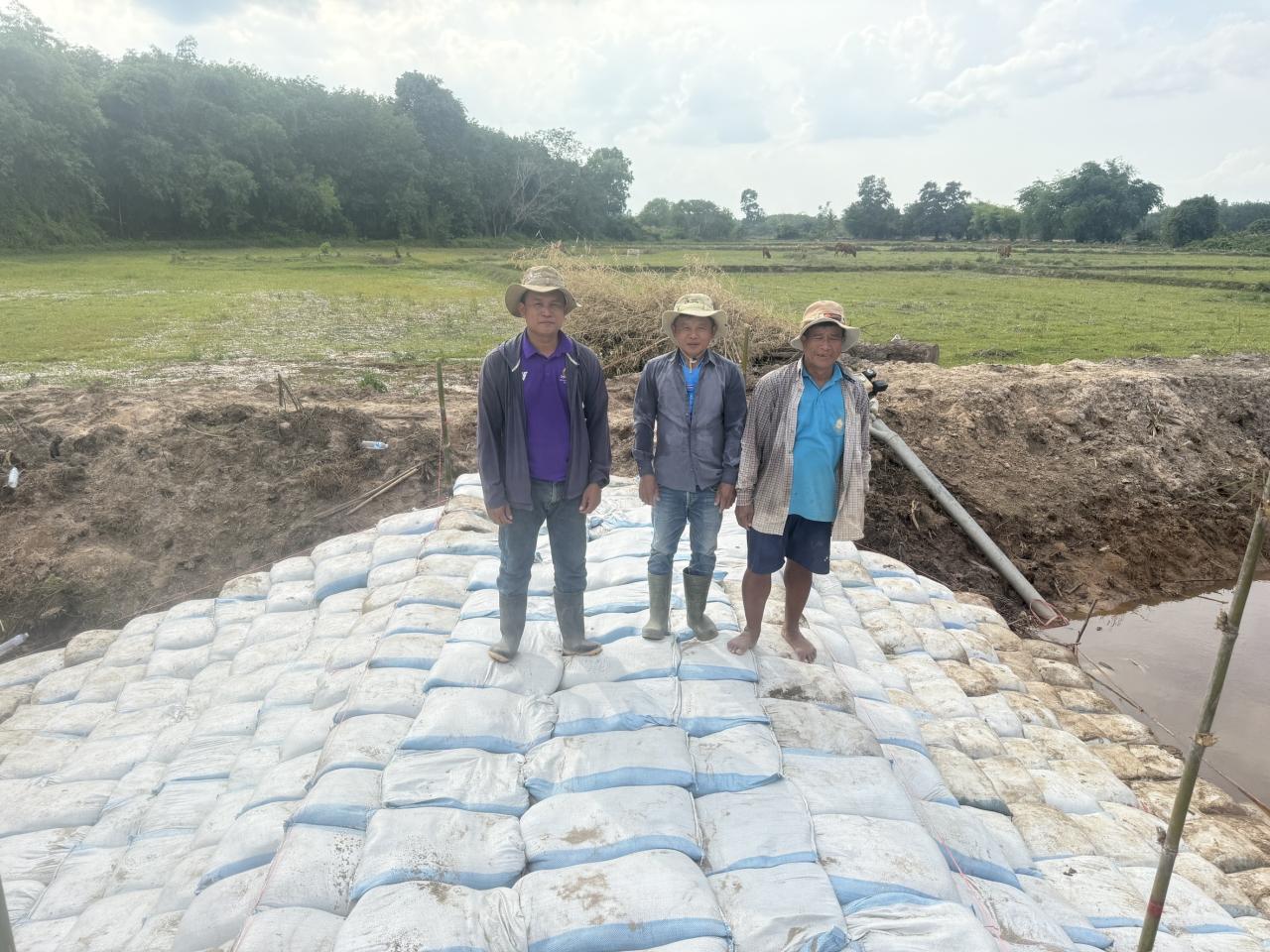 ภาพประกอบที่ 8