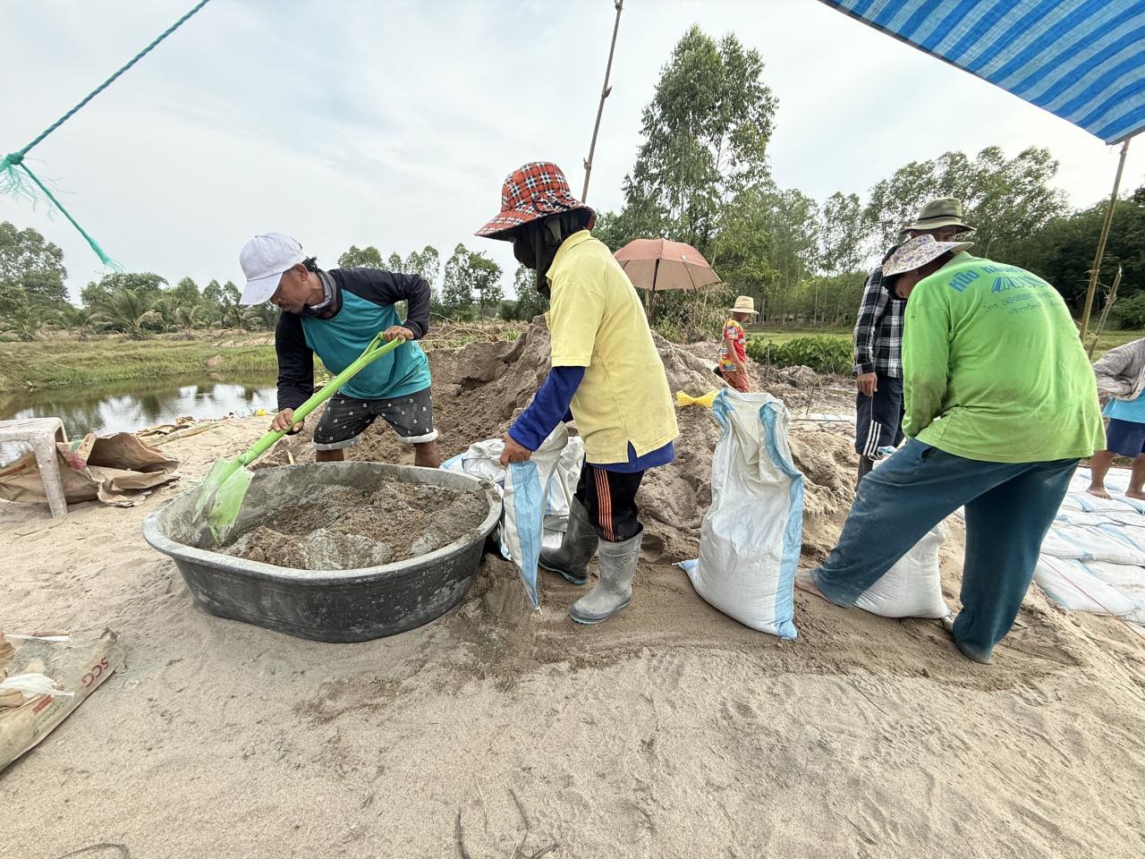 ภาพประกอบที่ 12