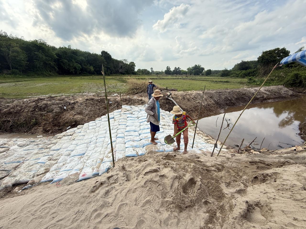 ภาพประกอบที่ 13