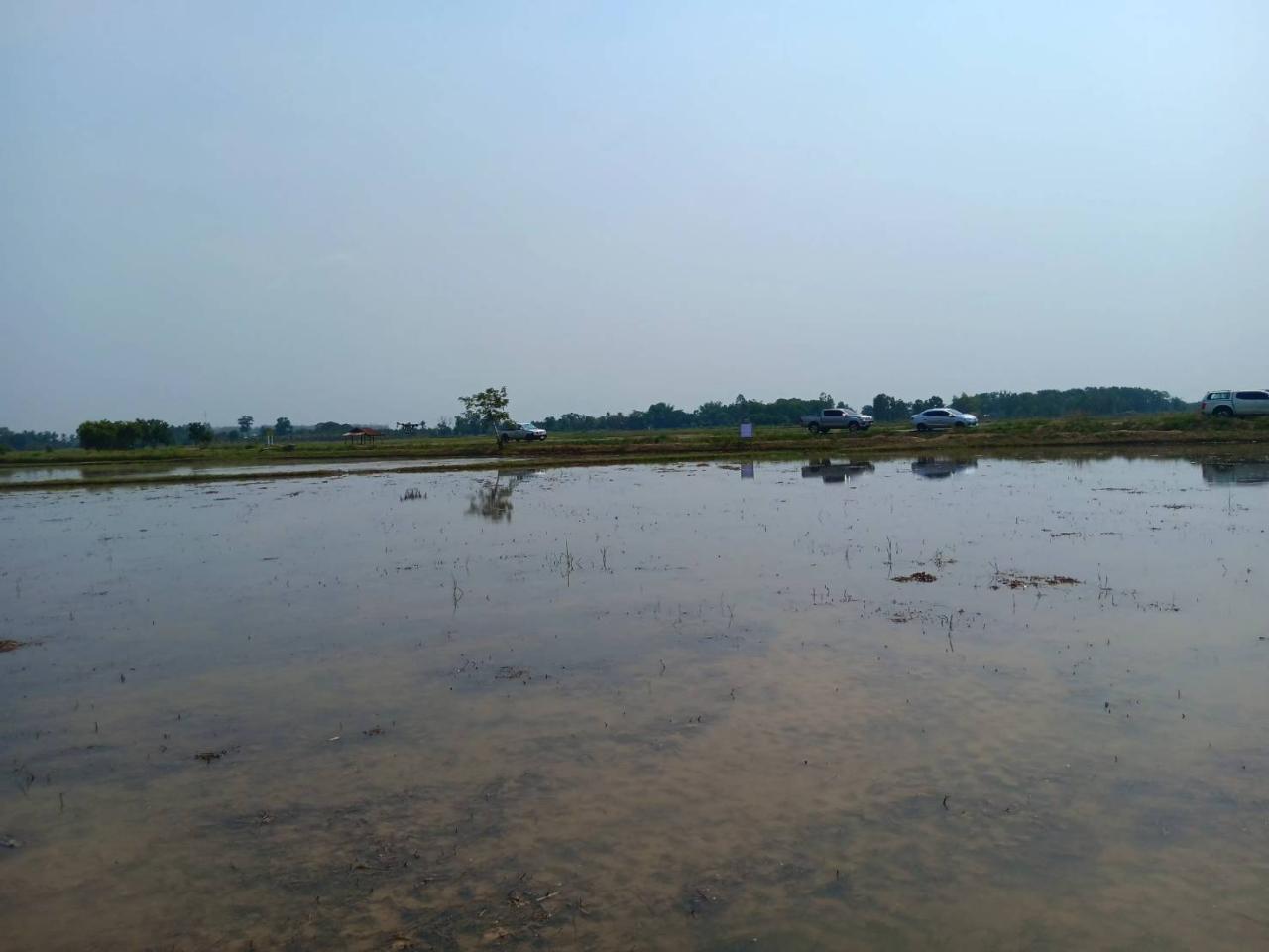 ภาพประกอบที่ 8