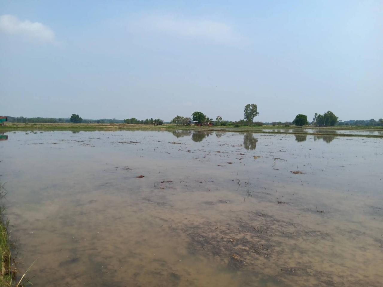 ภาพประกอบที่ 9