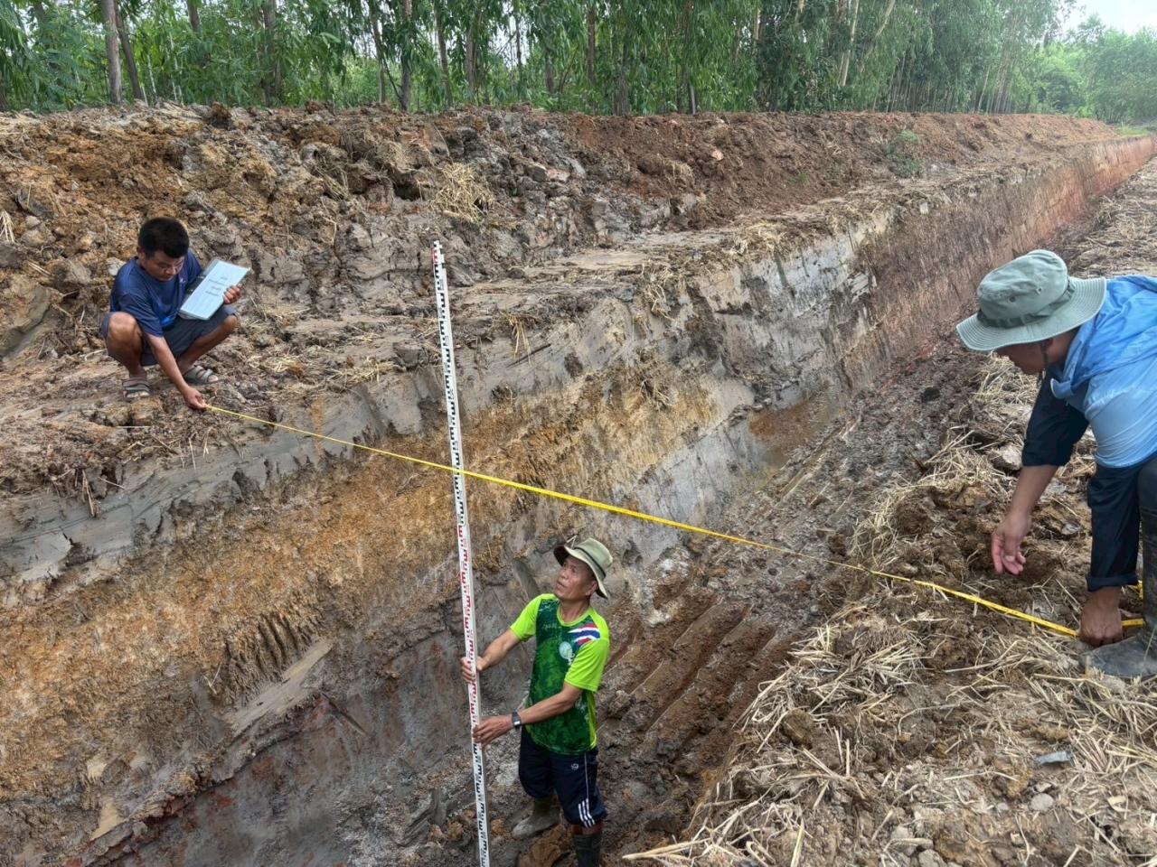 ภาพประกอบที่ 12