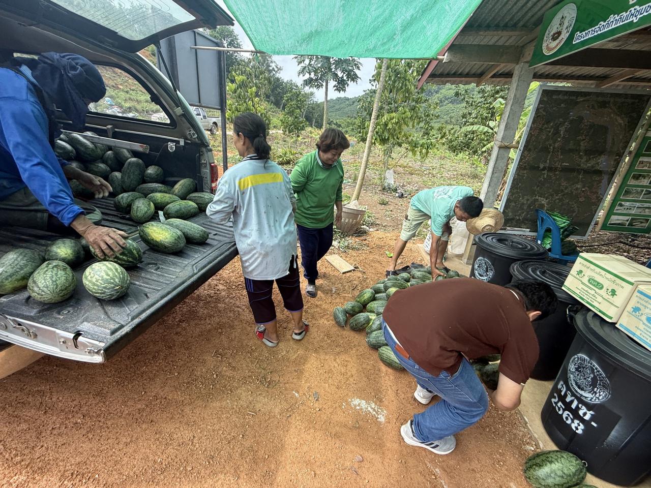 ภาพประกอบที่ 7