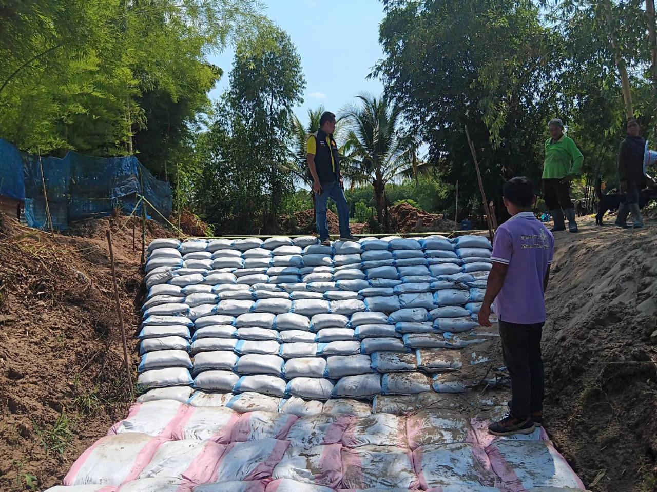 ภาพประกอบที่ 1