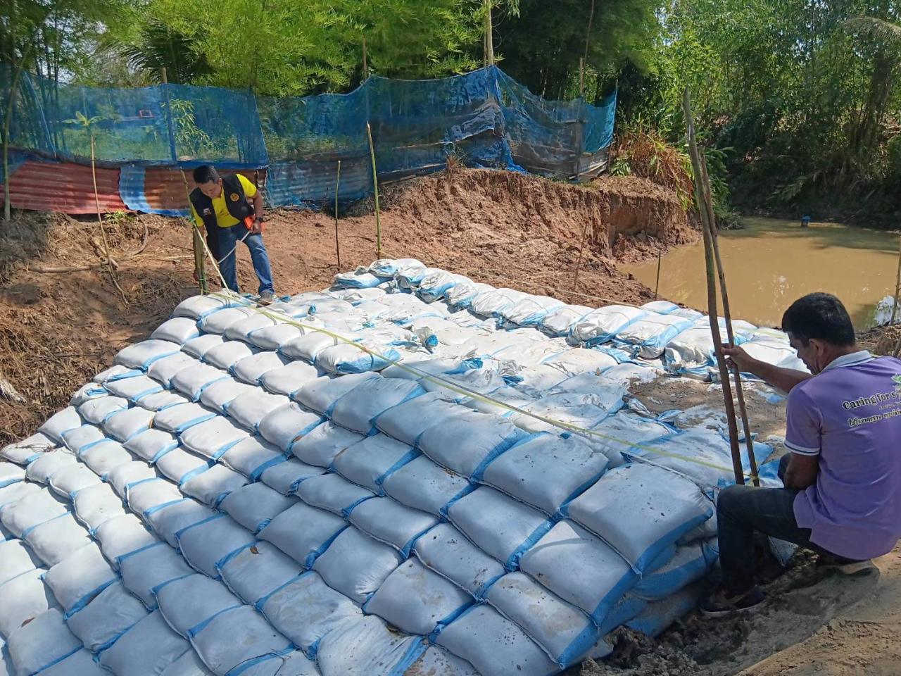 ภาพประกอบที่ 2