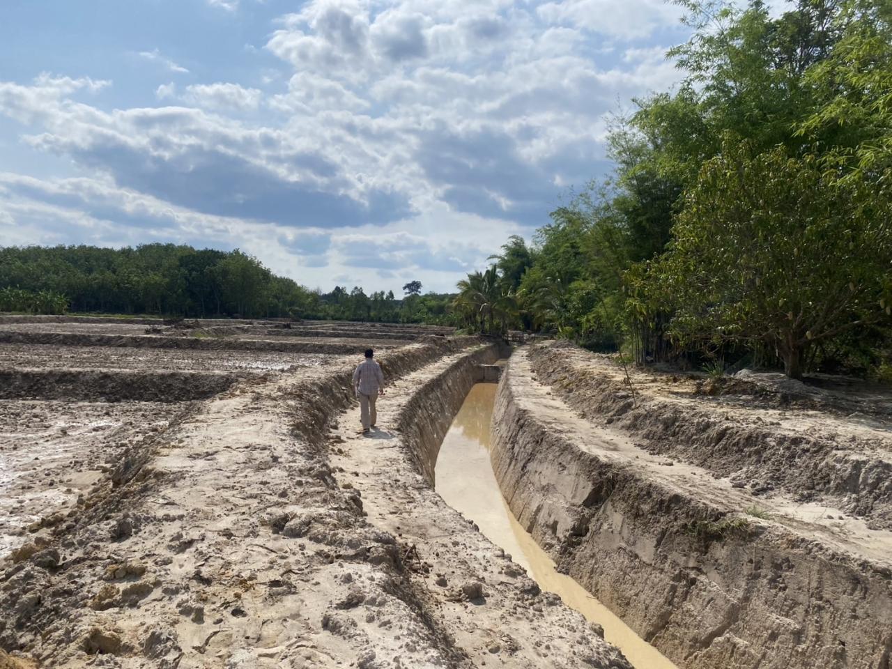 ภาพประกอบที่ 7