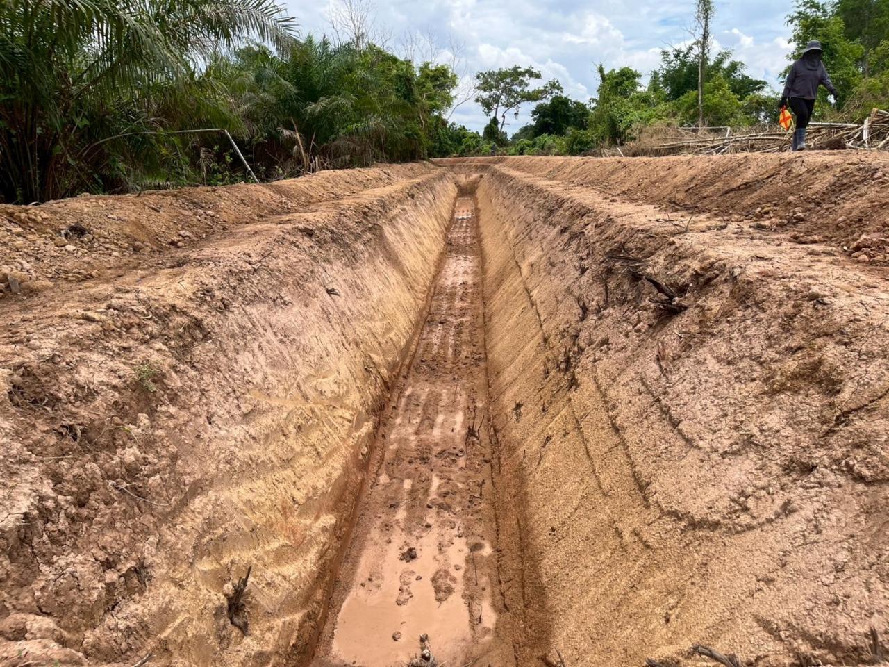 ภาพประกอบที่ 5