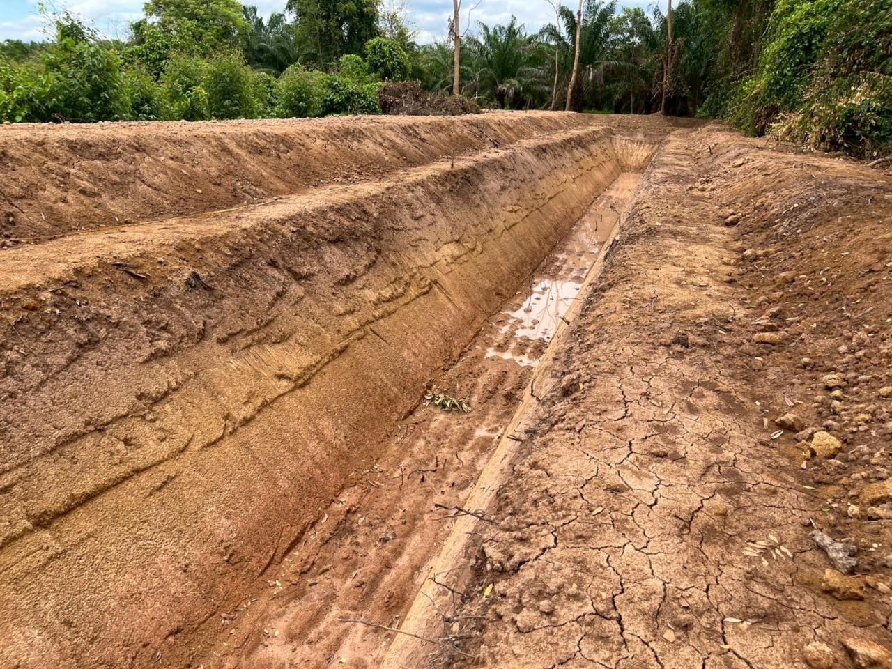 ภาพประกอบที่ 12