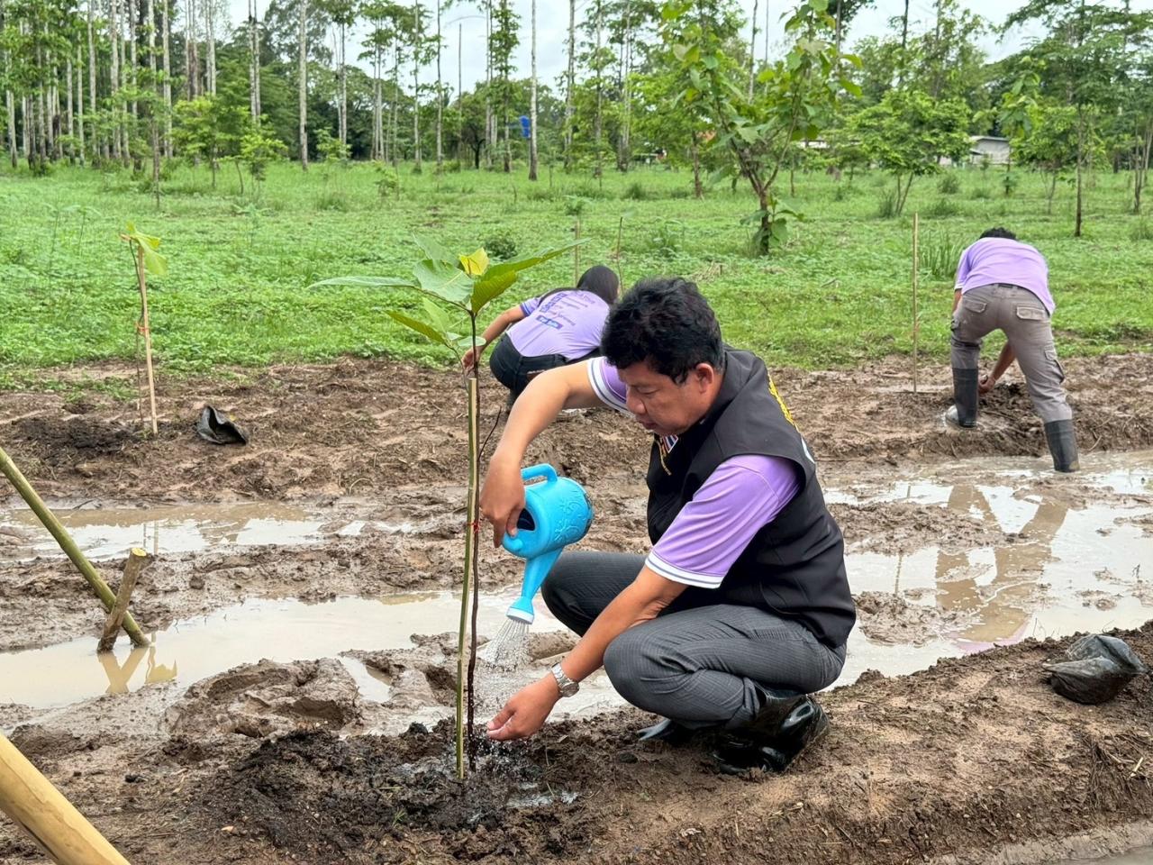 ภาพประกอบที่ 5