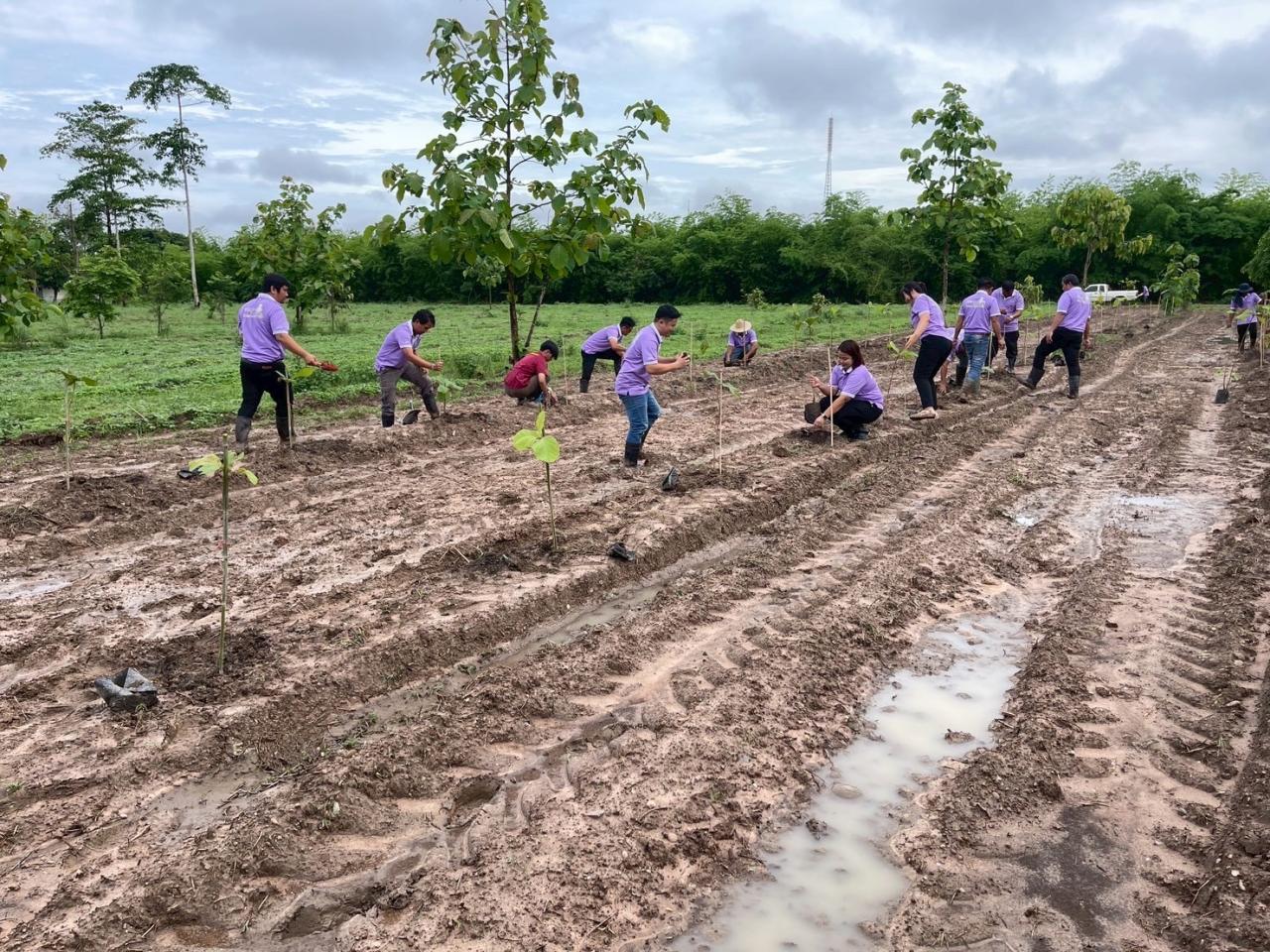 ภาพประกอบที่ 6