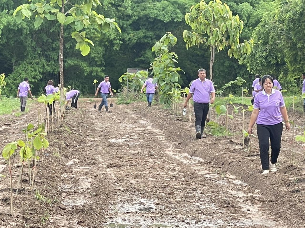 ภาพประกอบที่ 8