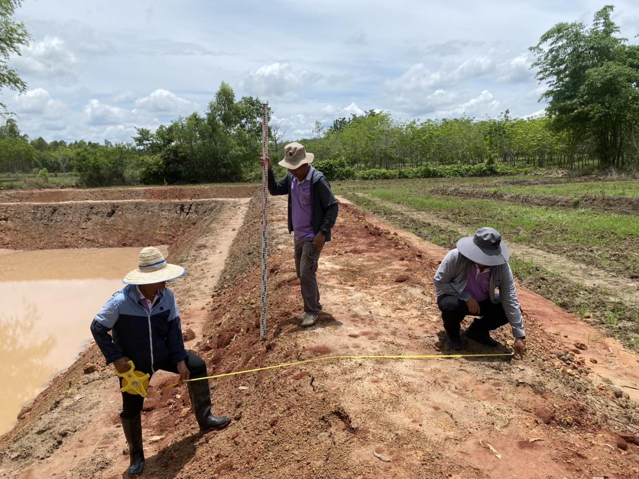 ภาพประกอบที่ 7