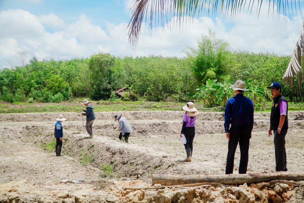 ภาพประกอบที่ 19
