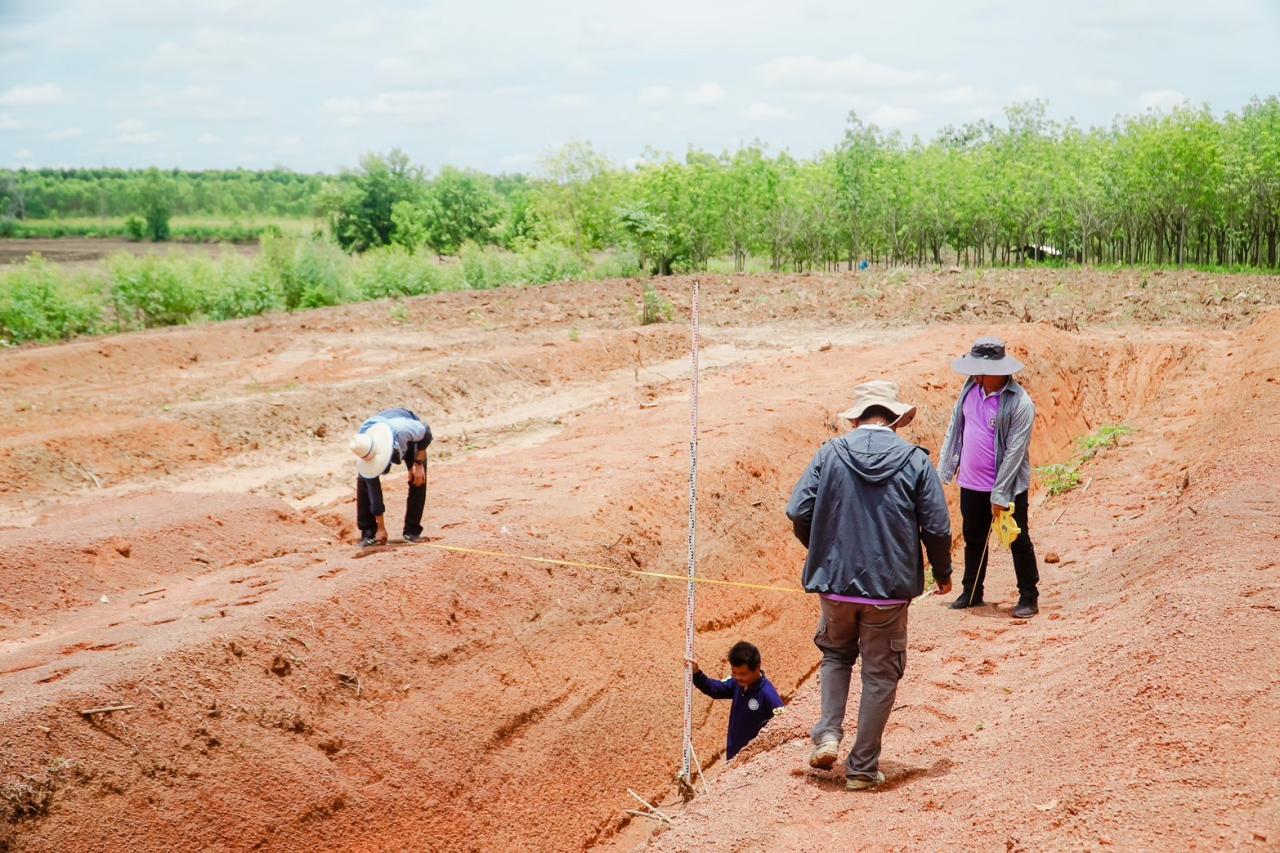 ภาพประกอบที่ 21