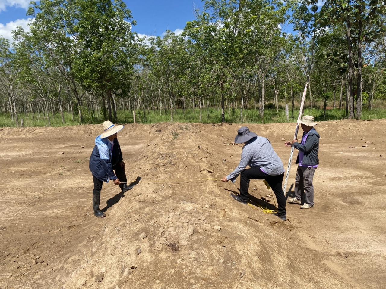 ภาพประกอบที่ 1