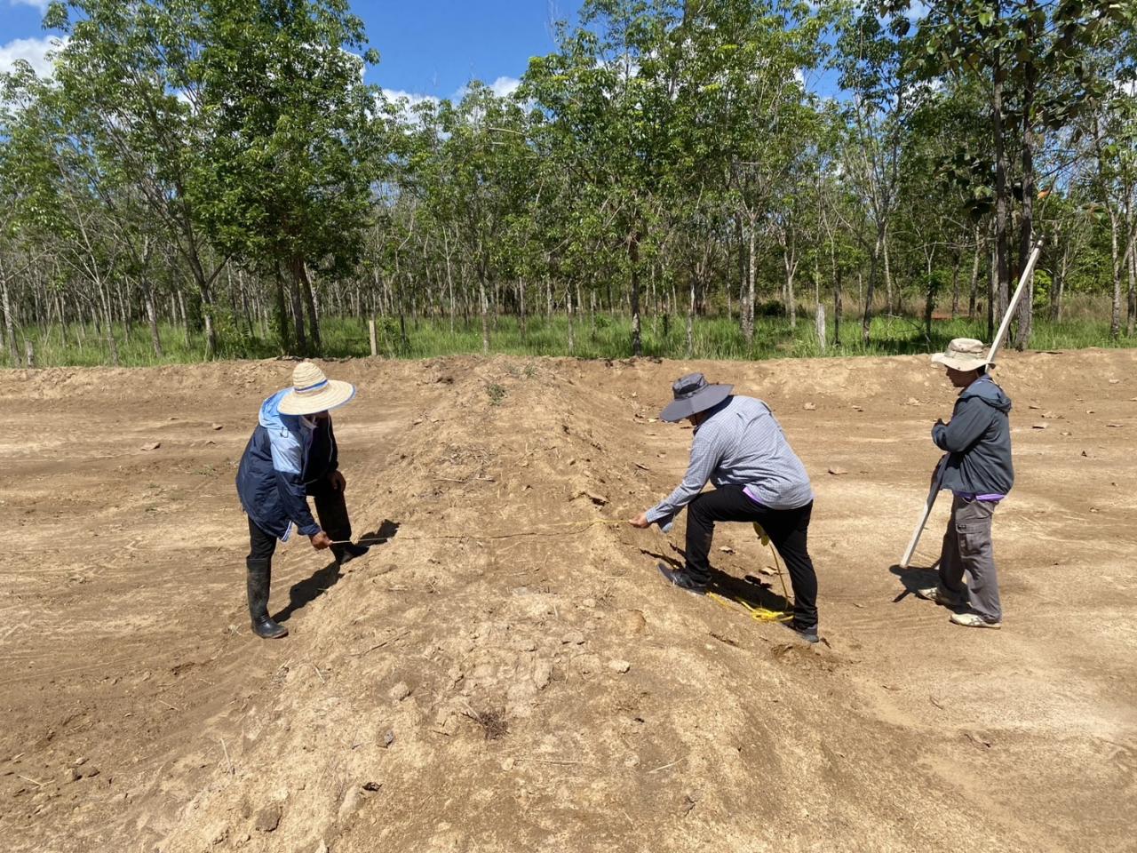 ภาพประกอบที่ 2