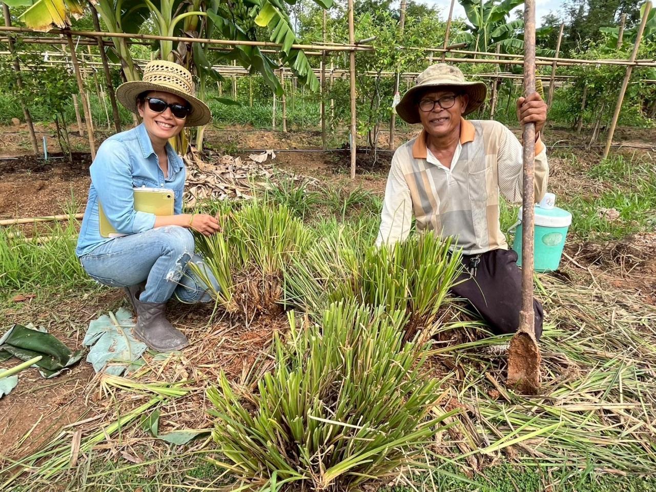 ภาพประกอบที่ 21