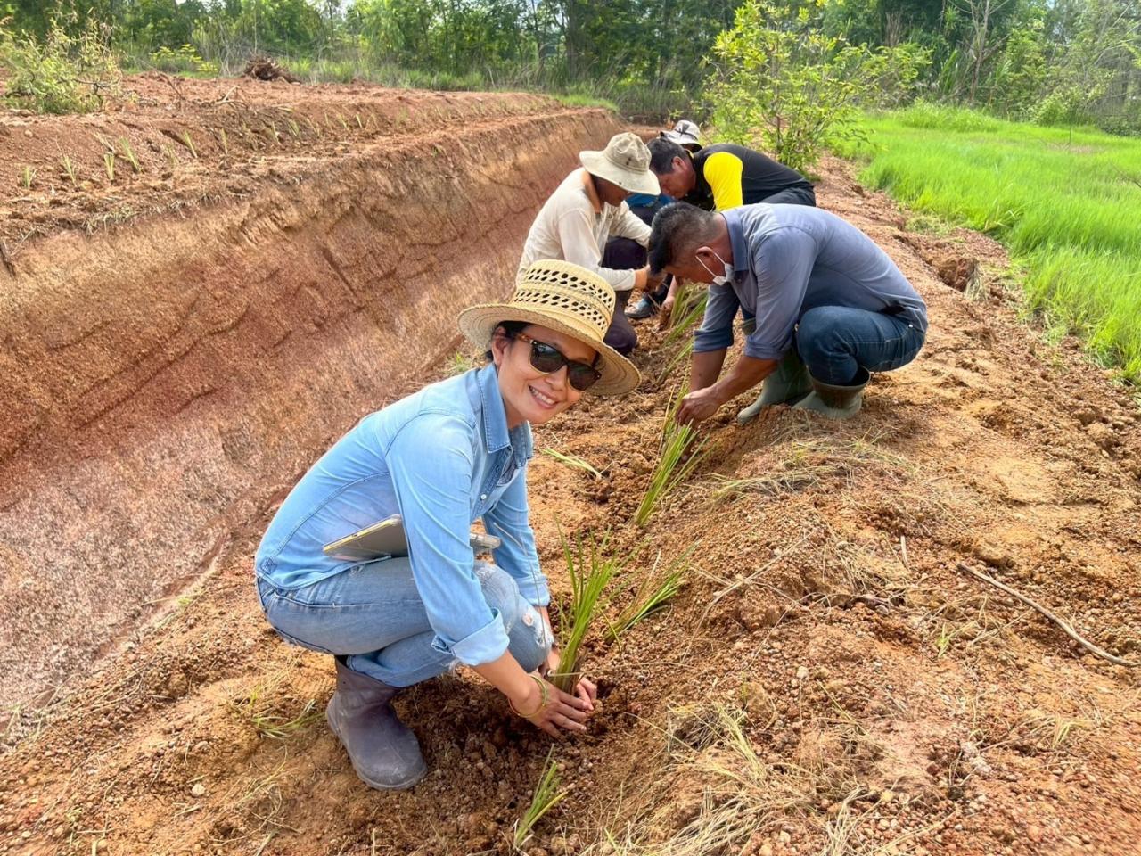 ภาพประกอบที่ 22