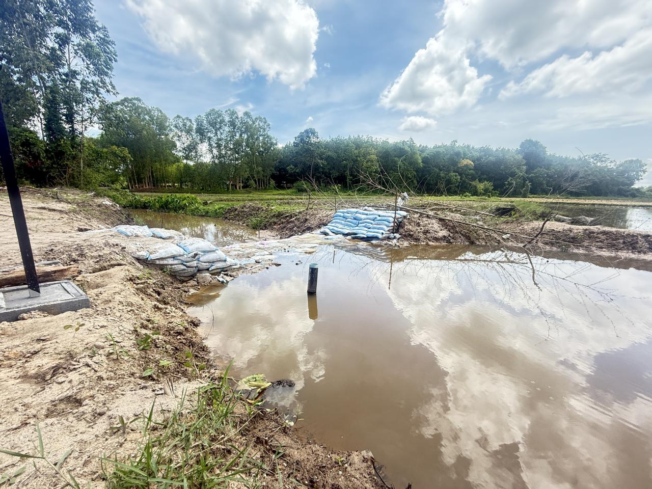 ภาพประกอบที่ 4