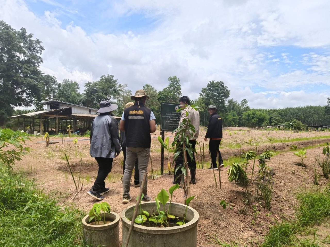 ภาพประกอบที่ 2