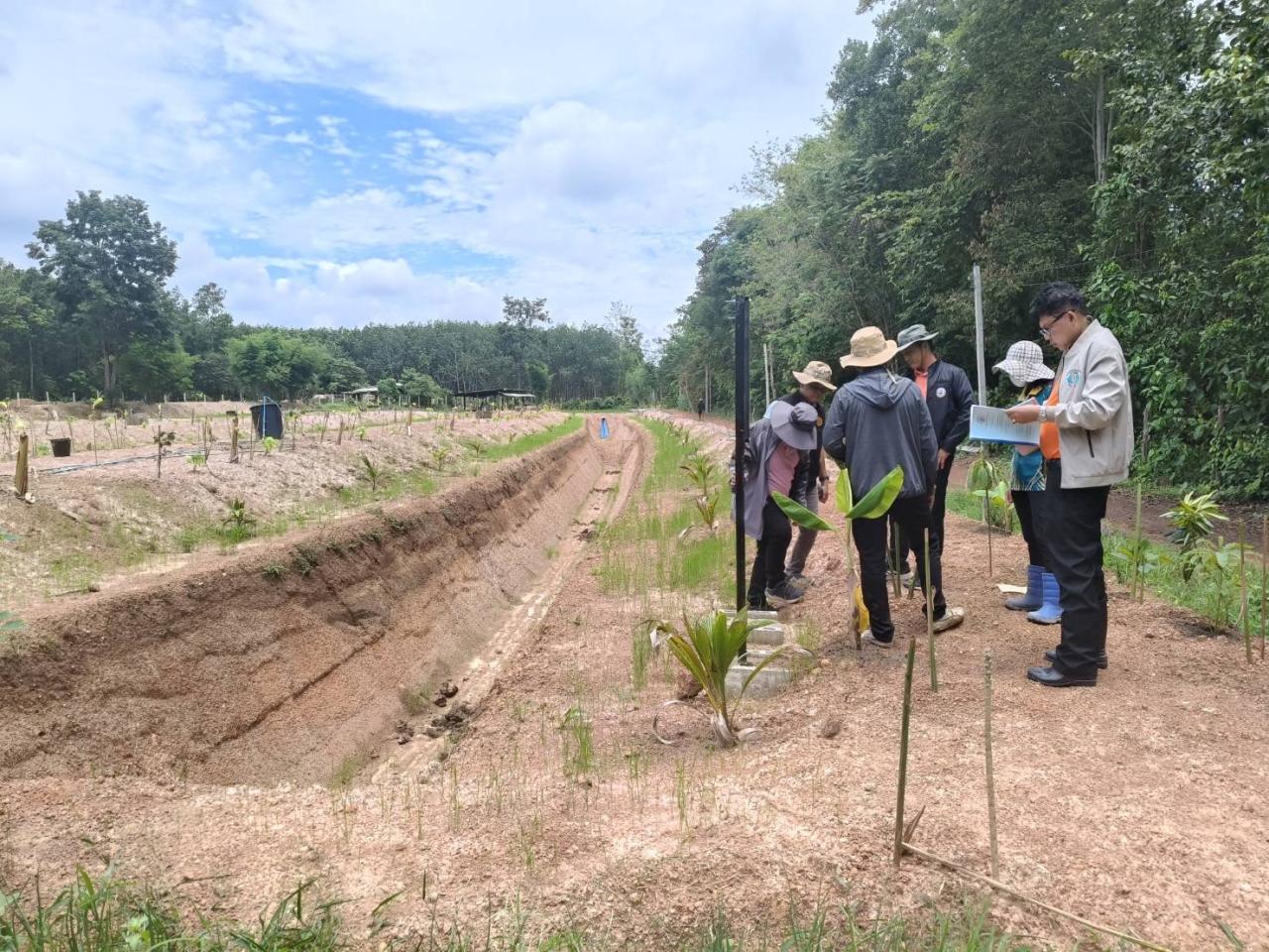 ภาพประกอบที่ 4