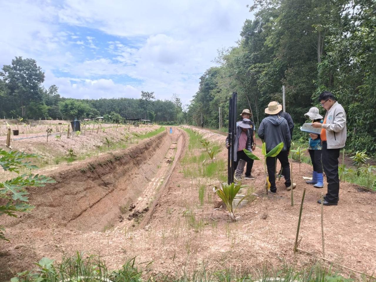 ภาพประกอบที่ 5