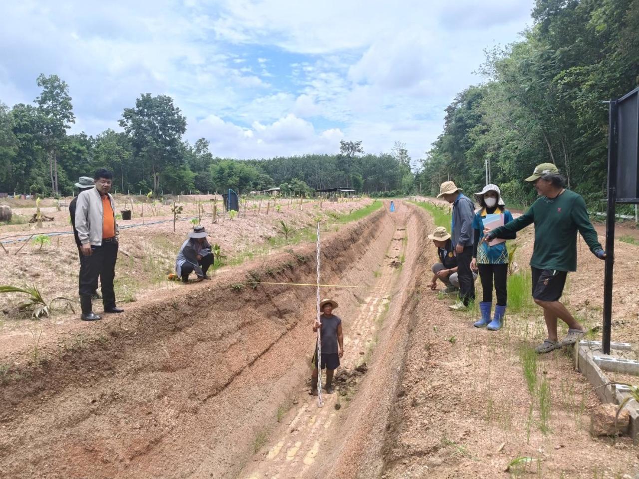 ภาพประกอบที่ 7