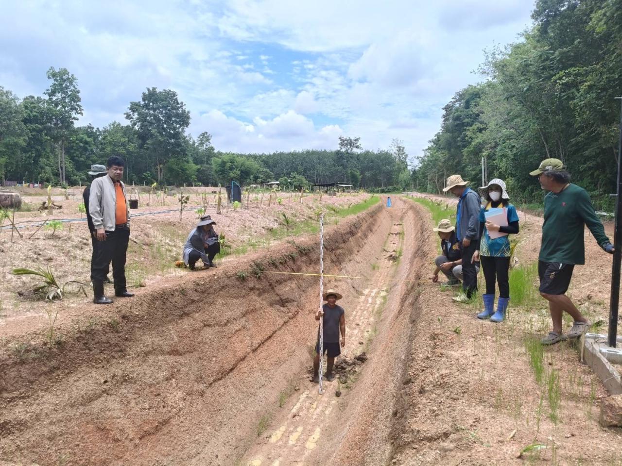 ภาพประกอบที่ 8