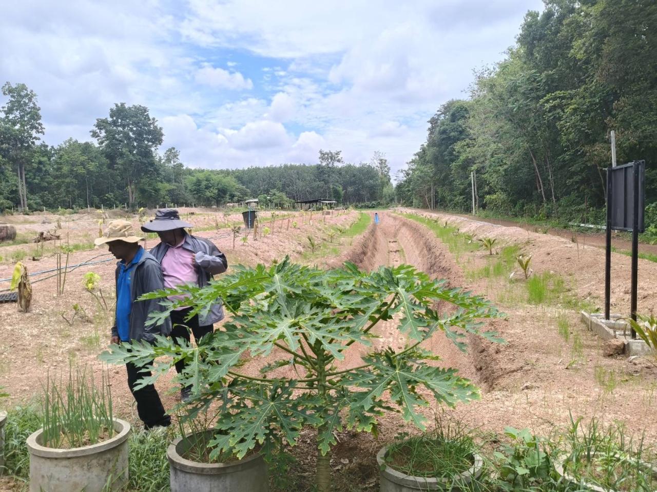 ภาพประกอบที่ 11