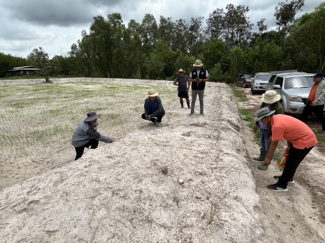 ภาพประกอบที่ 10