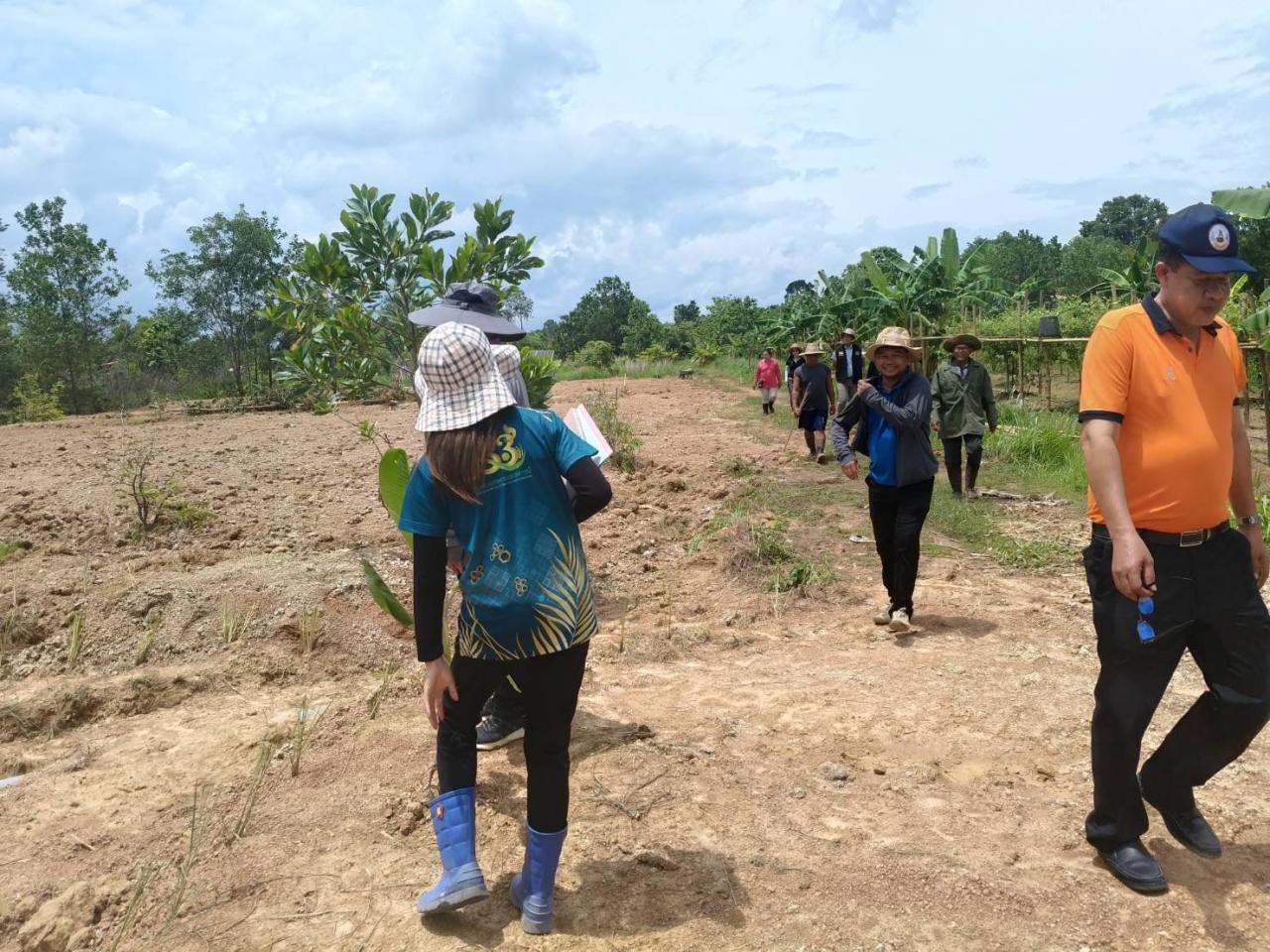 ภาพประกอบที่ 0