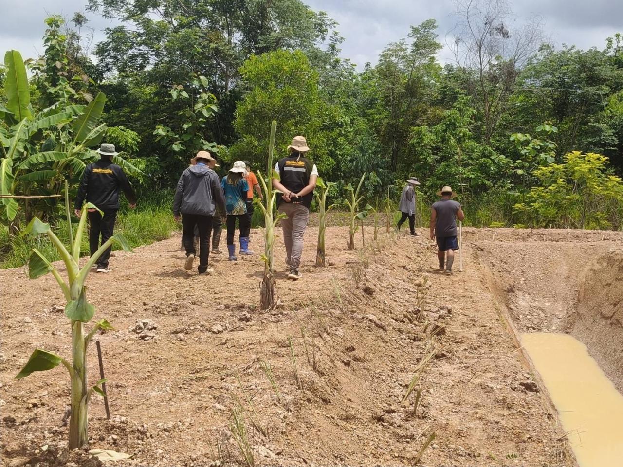 ภาพประกอบที่ 1