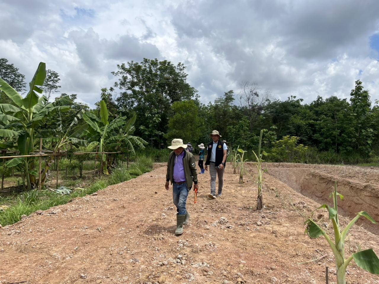 ภาพประกอบที่ 13