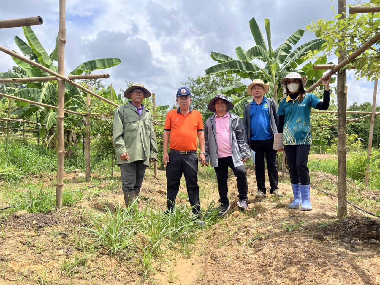 ภาพประกอบที่ 14