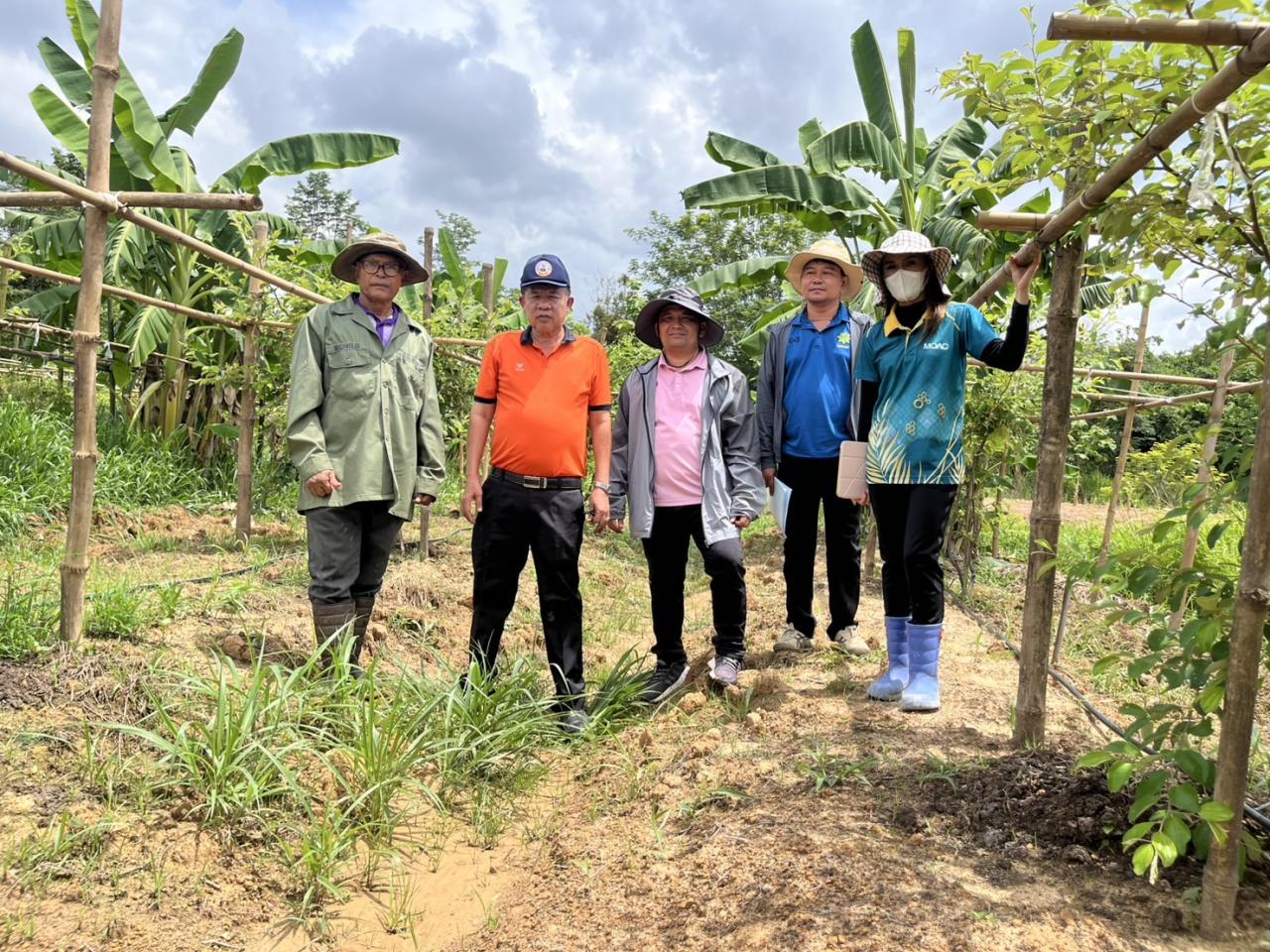 ภาพประกอบที่ 15