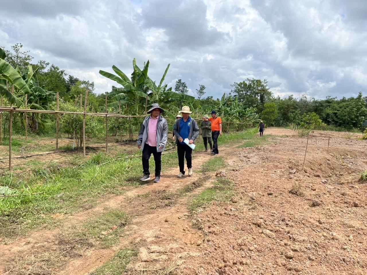 ภาพประกอบที่ 16