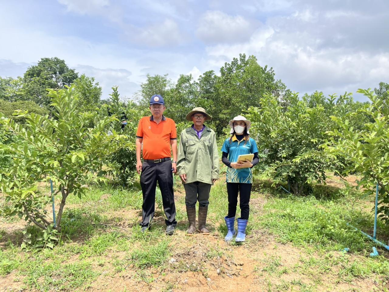 ภาพประกอบที่ 19