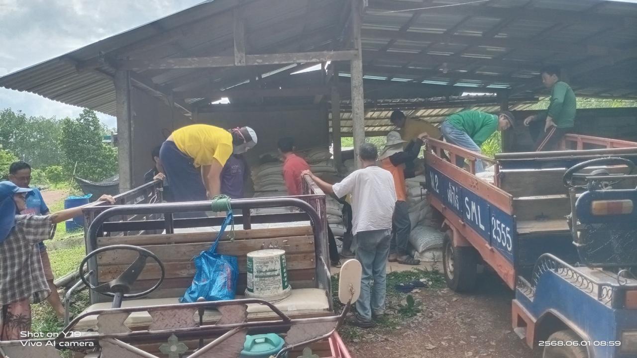 ภาพประกอบที่ 8