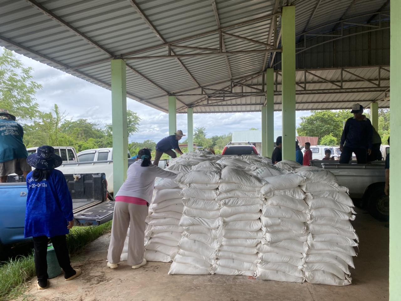 ภาพประกอบที่ 12