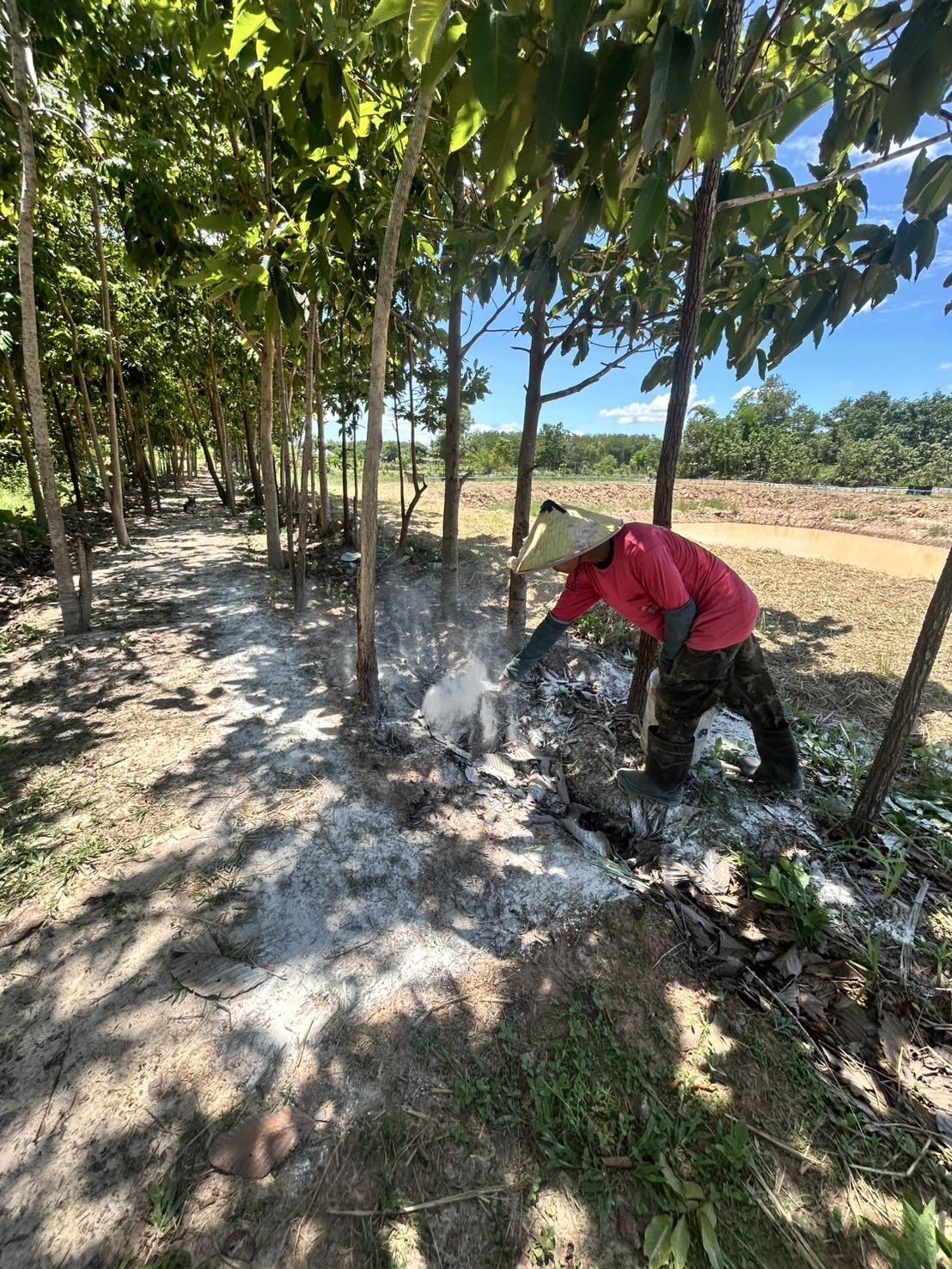 ภาพประกอบที่ 20