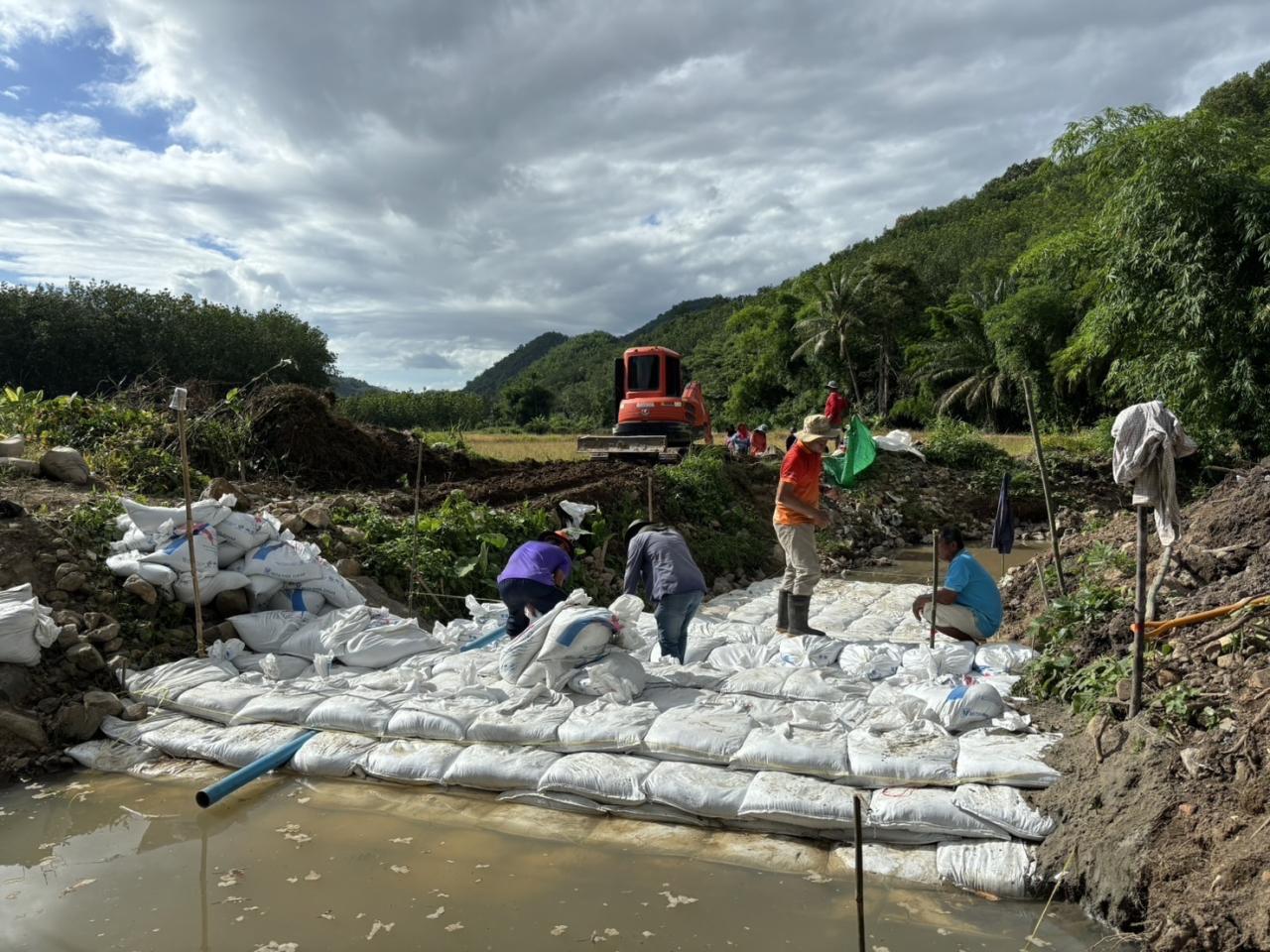 ภาพประกอบที่ 5