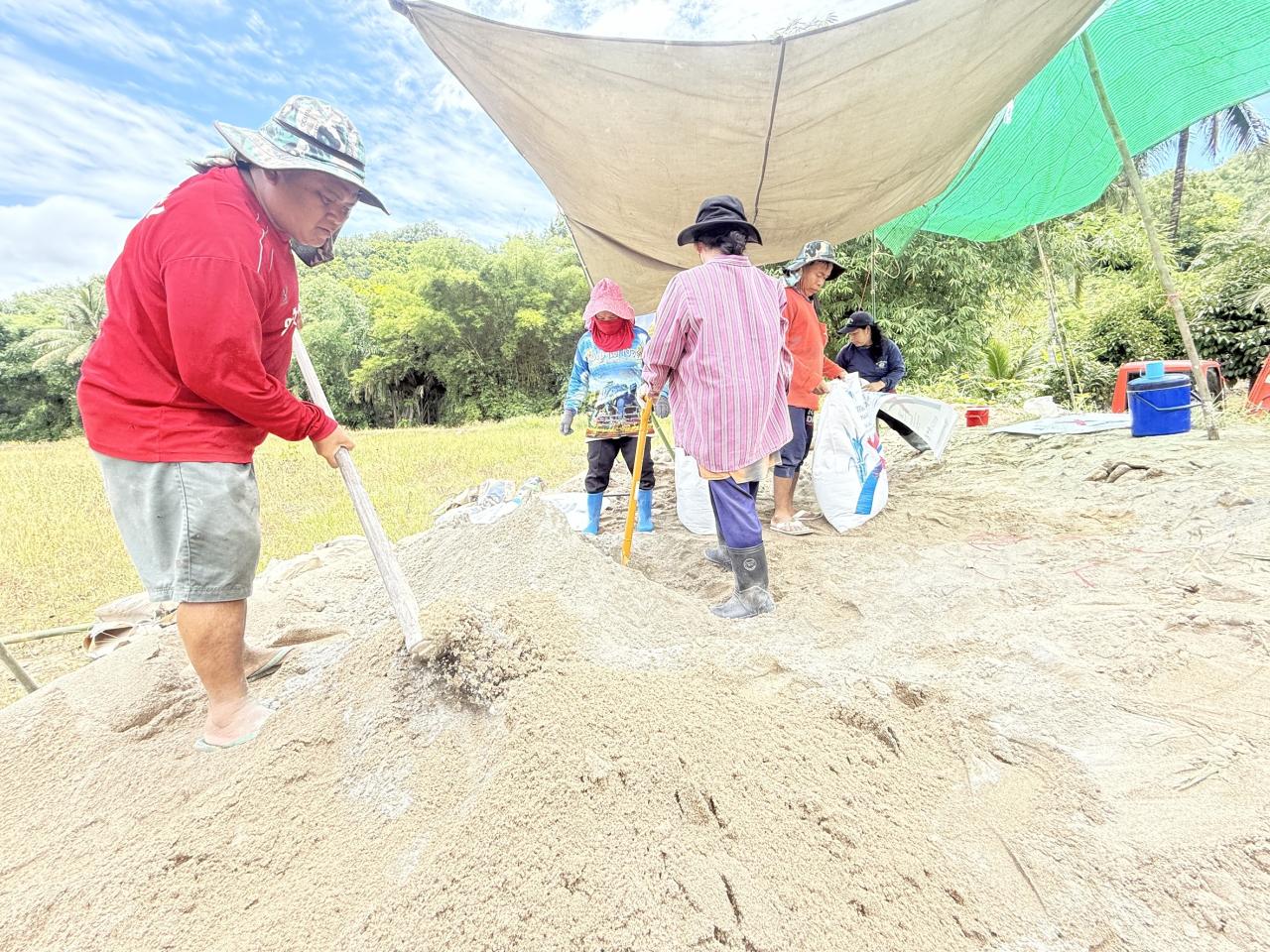 ภาพประกอบที่ 10
