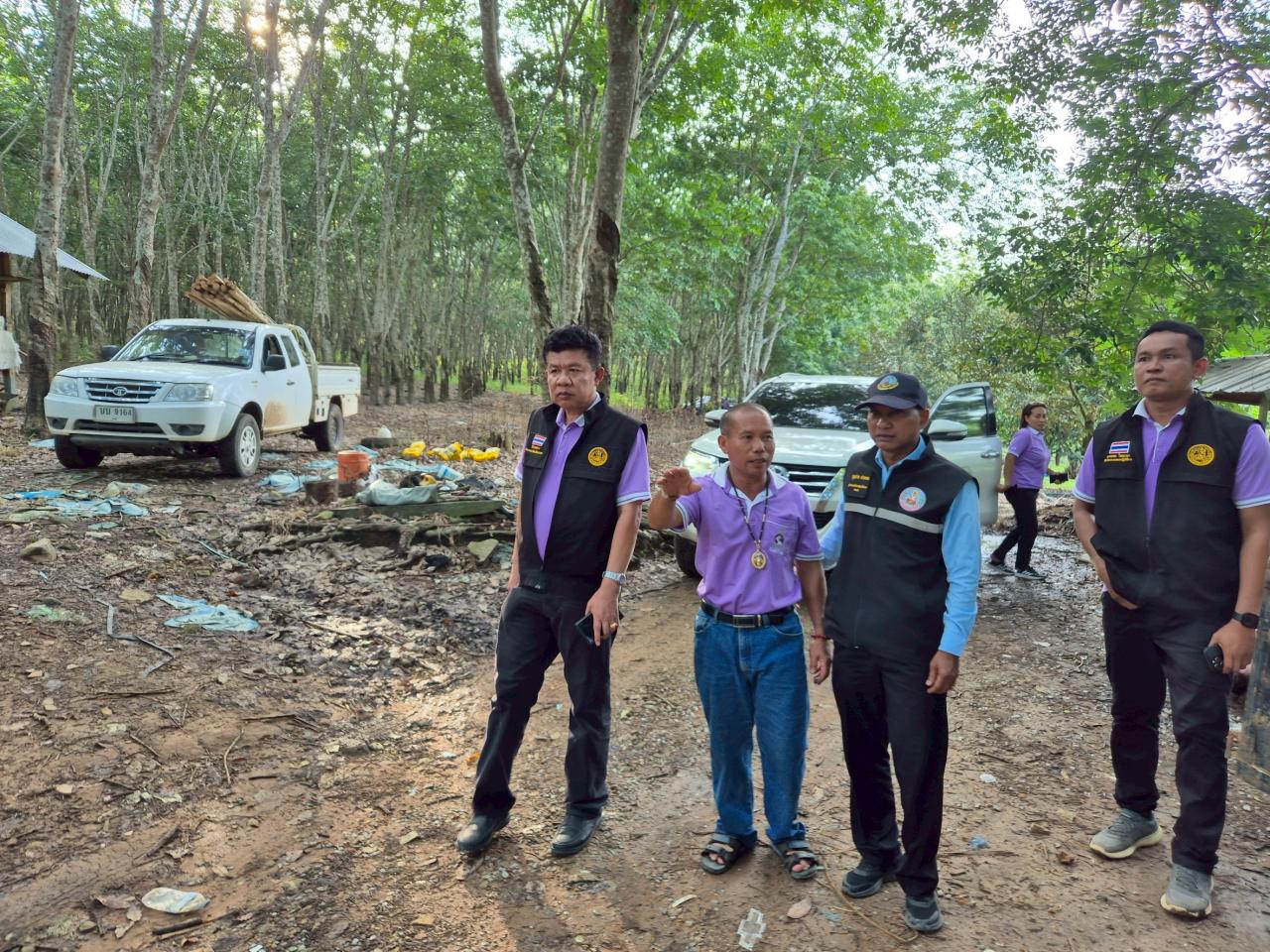 ภาพประกอบที่ 63