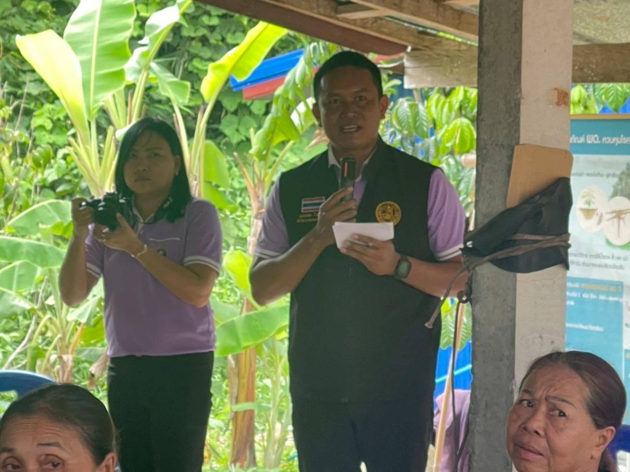 ภาพประกอบที่ 31