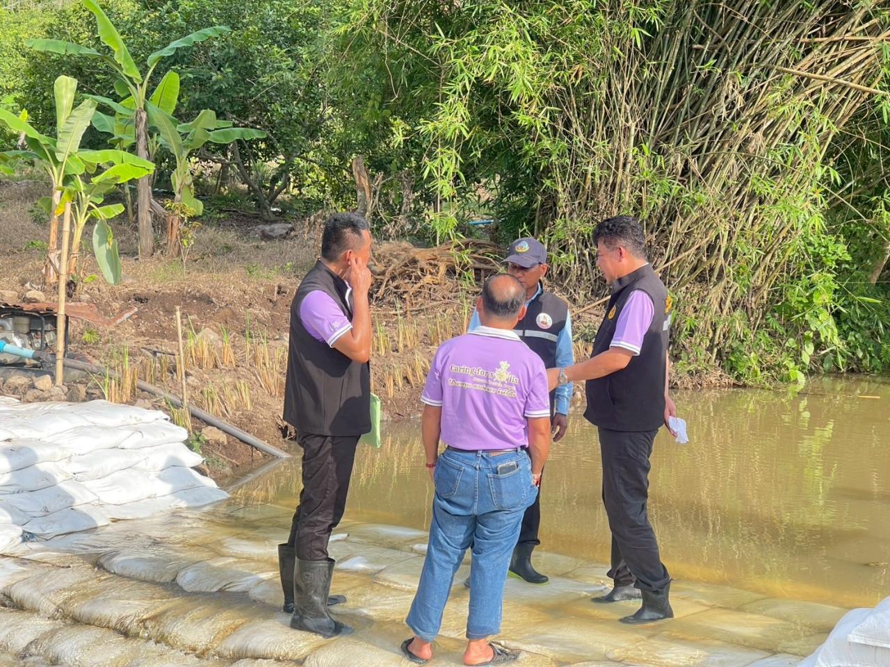 ภาพประกอบที่ 12