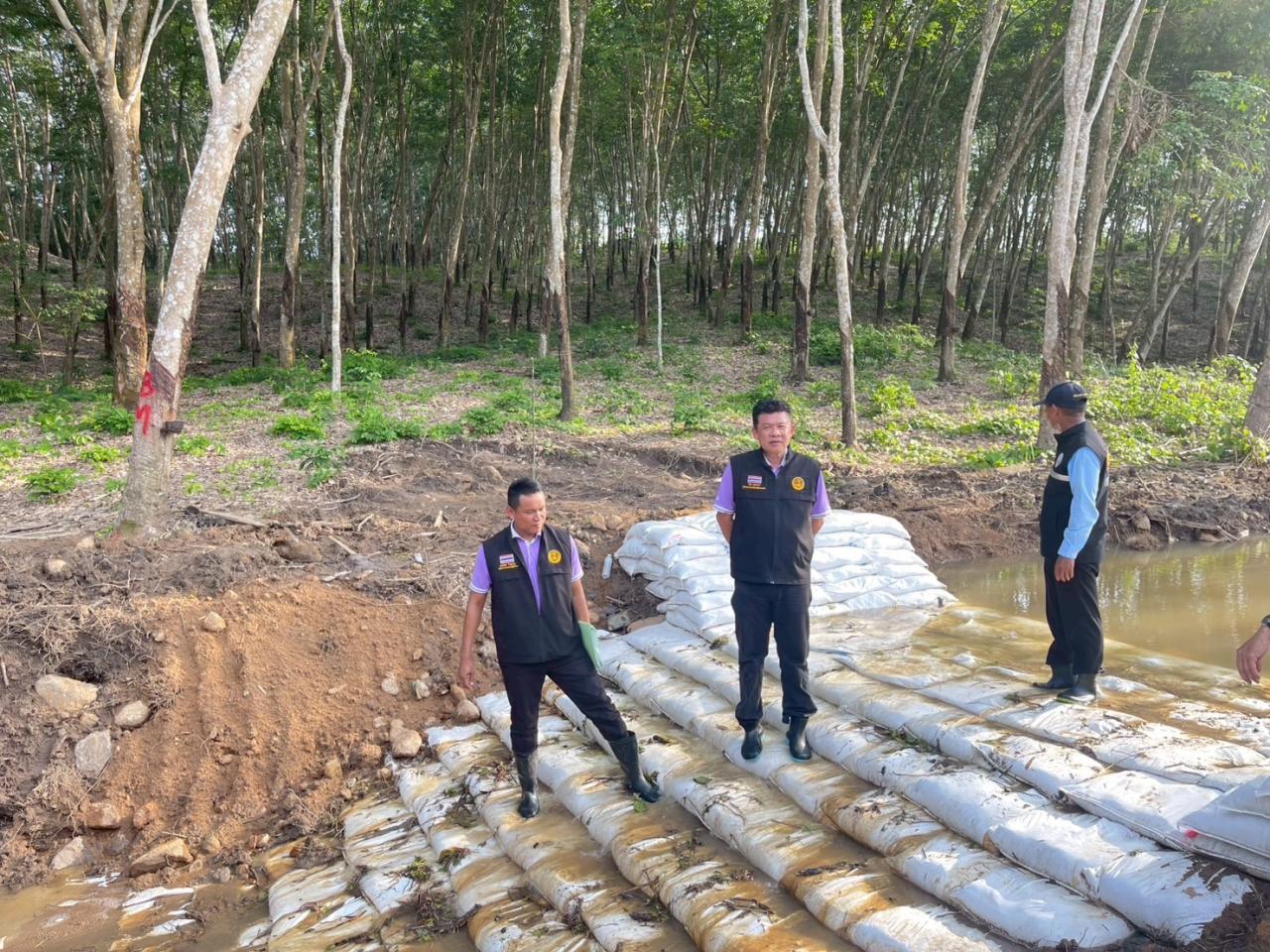 ภาพประกอบที่ 22