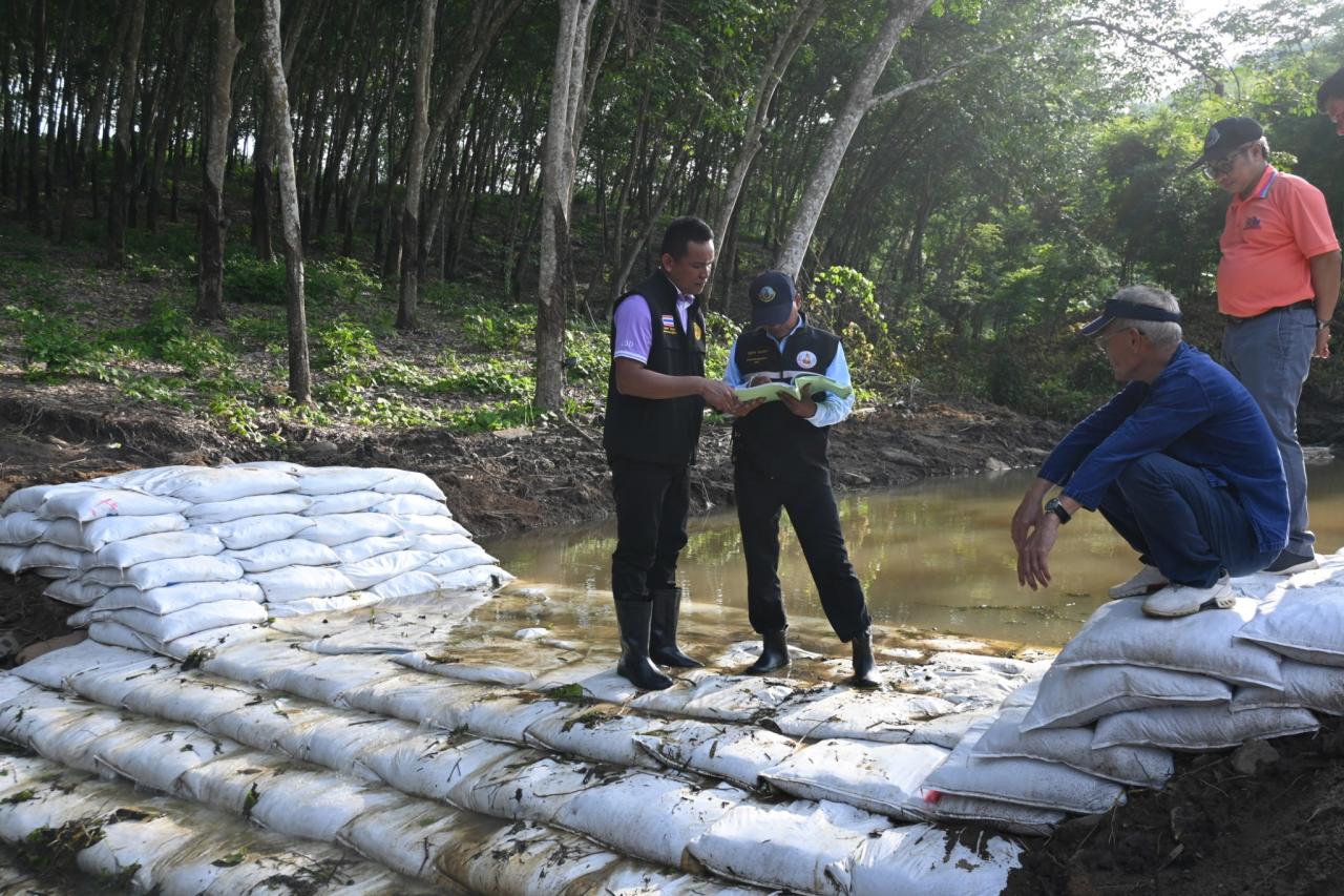 ภาพประกอบที่ 29